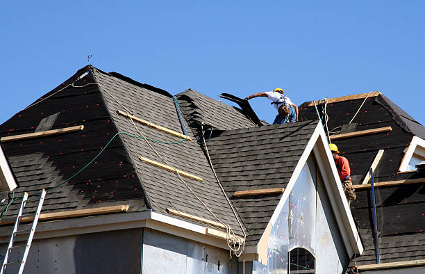 Best Storm Damage Roof Repair  in Ravena, NY