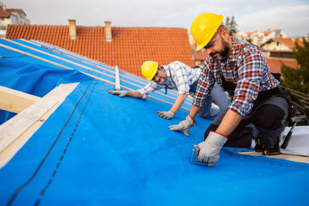 Best Flat Roof Repair Services  in Ravena, NY
